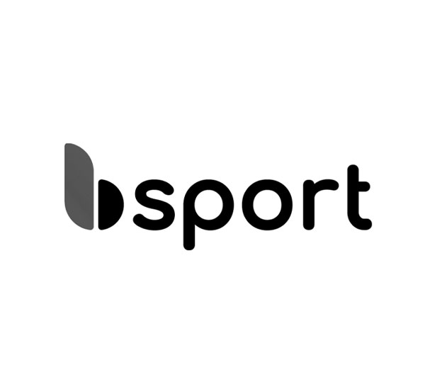 bsport-600x553